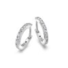 Stříbrné náušnice Hot Diamonds Flora DE581