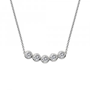 Stříbrný náhrdelník Hot Diamonds Willow DN129