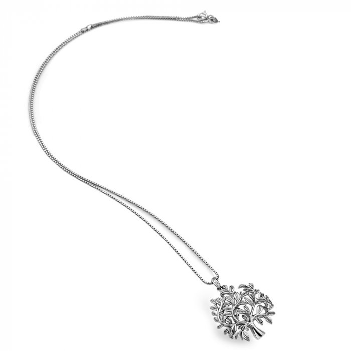 Stříbrný přívěsek Hot Diamonds Jasmine DP700