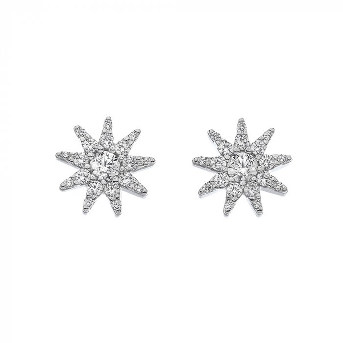 Stříbrné náušnice Hot Diamonds Emozioni Stella EE037