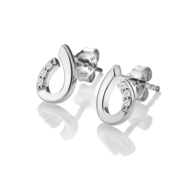Stříbrné náušnice Hot Diamonds Much Loved DE729