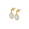 Stříbrné náušnice Hot Diamonds X Gemstones Oval DE776